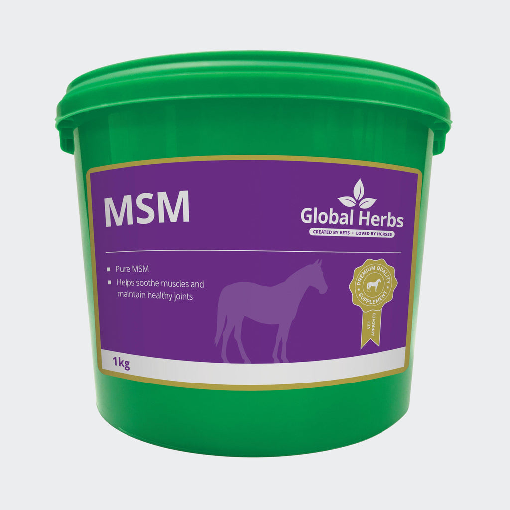 MSM Pure 1kg
