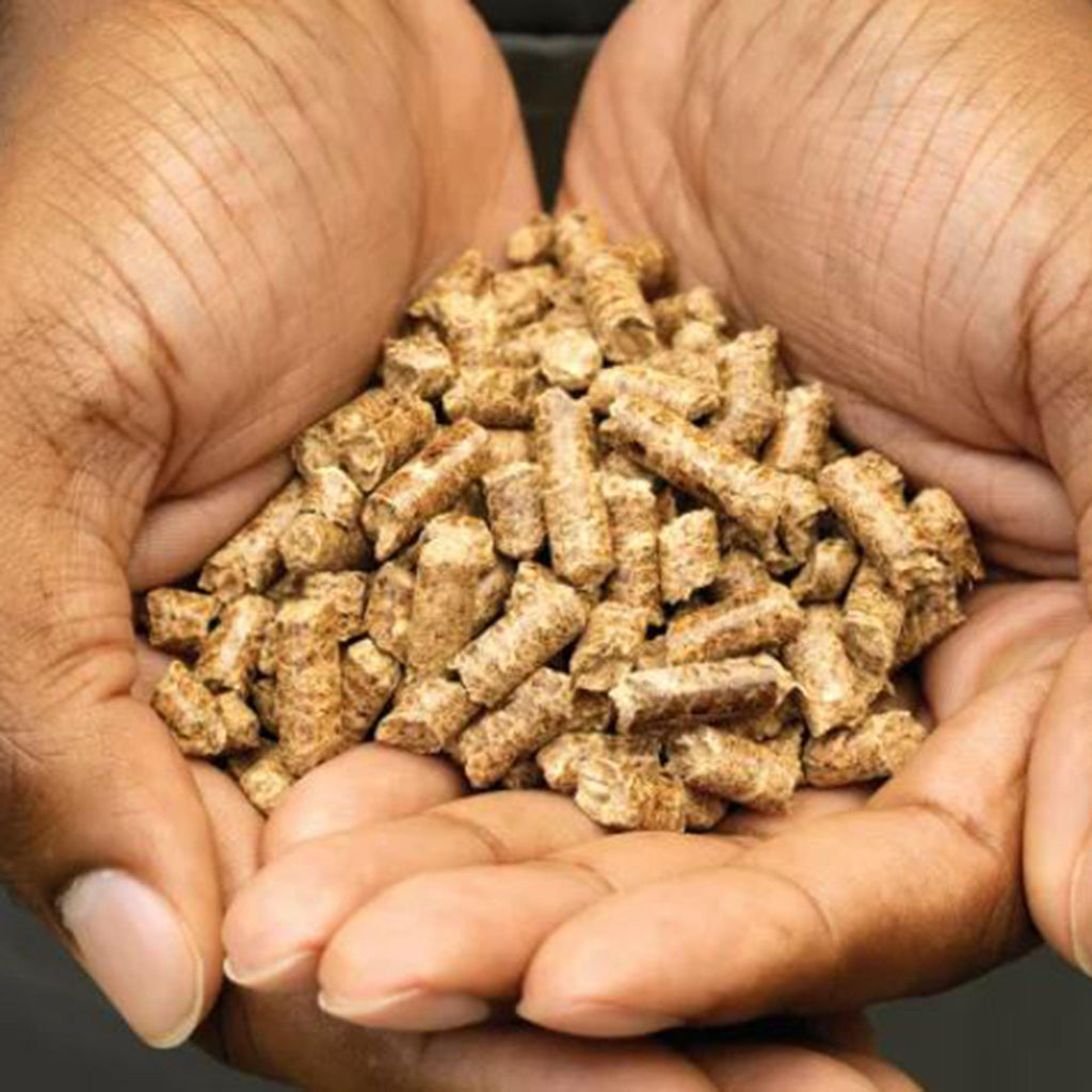 Woodfire Robust Pellets 900g