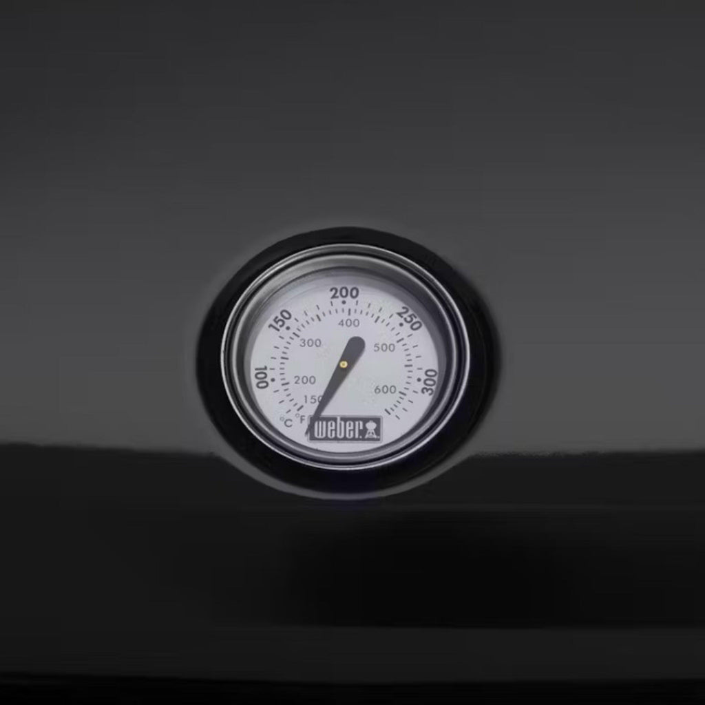 Lumin Compact Electric Barbecue