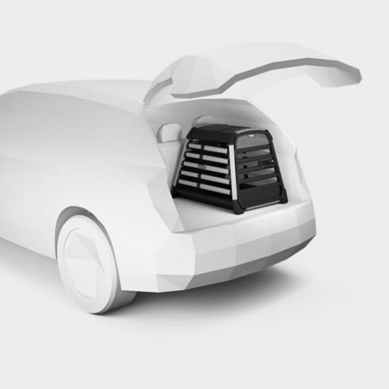 Allax Medium Compact Dog Crate