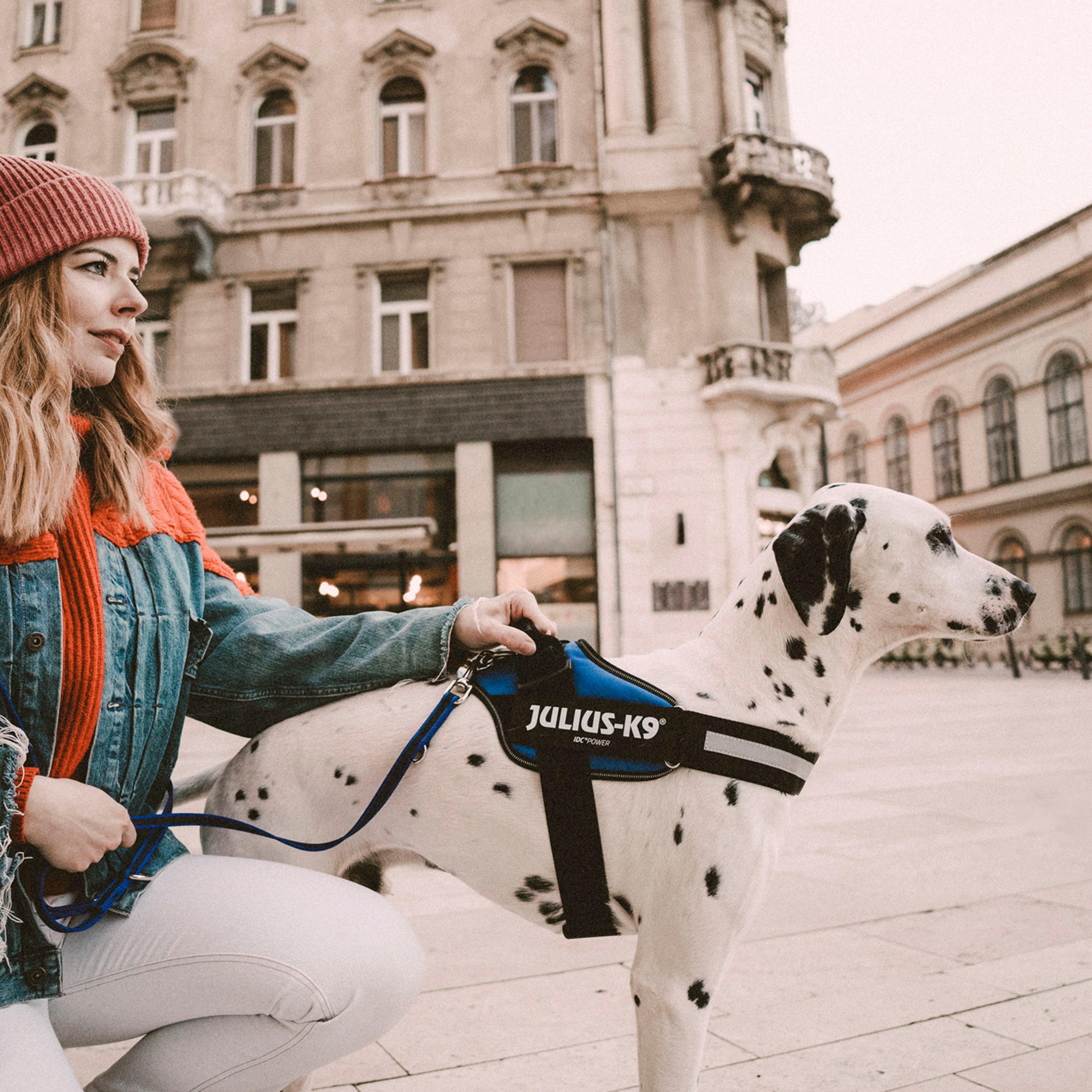 Original K9 Powerharness Size 2