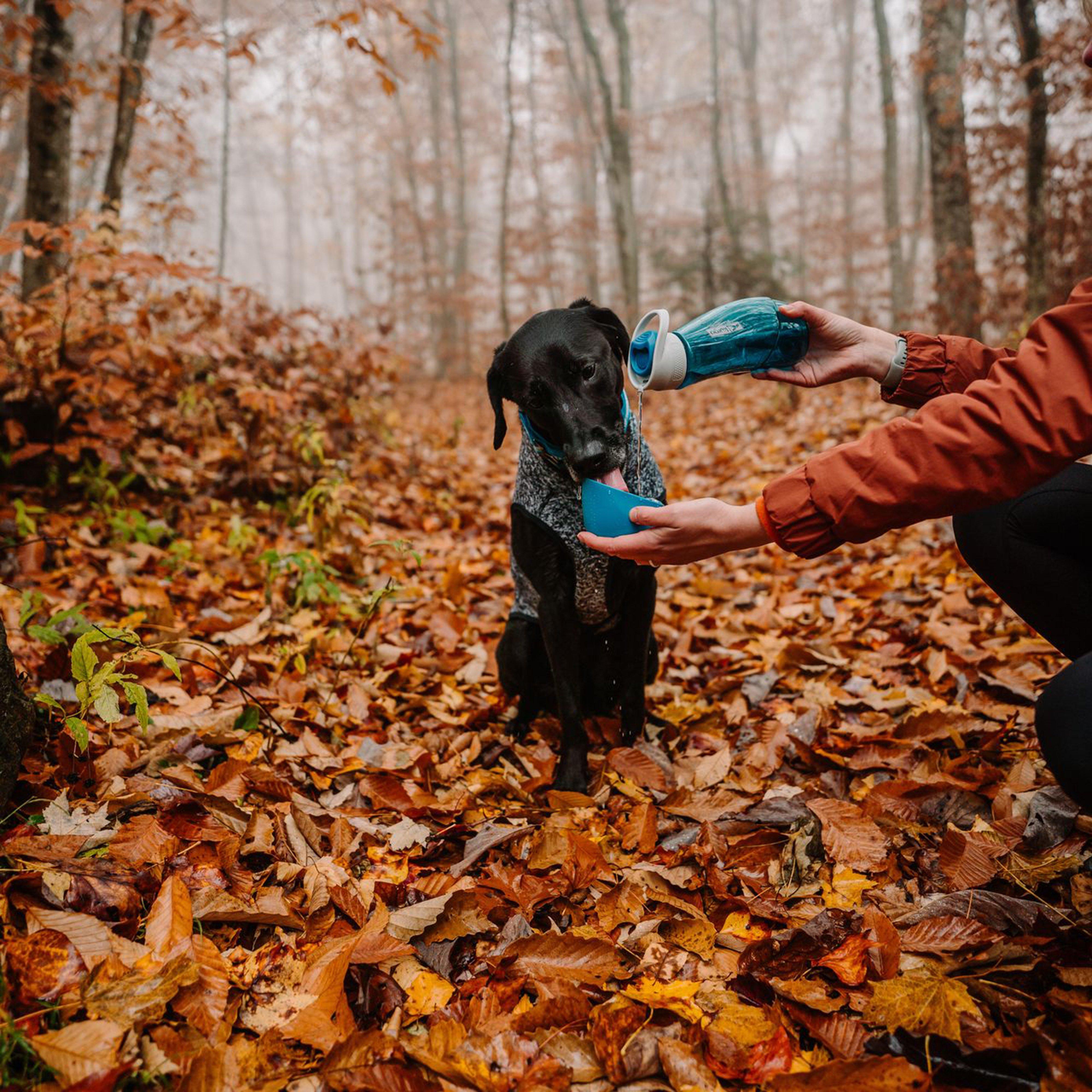 H2O Gourd Water Bottle & Bowl