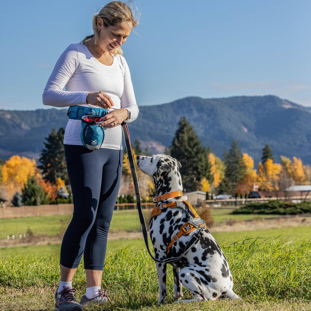 Go Stuff It Dog Treat Bag