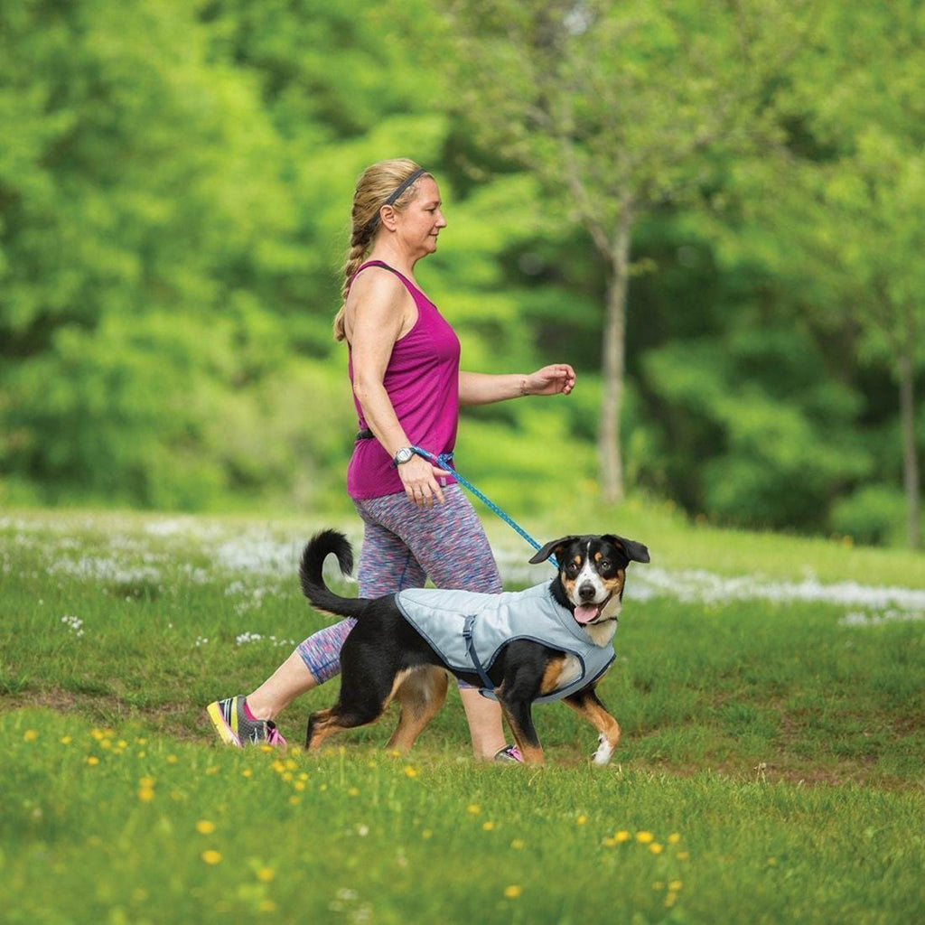 Dog Core Cooling Vest
