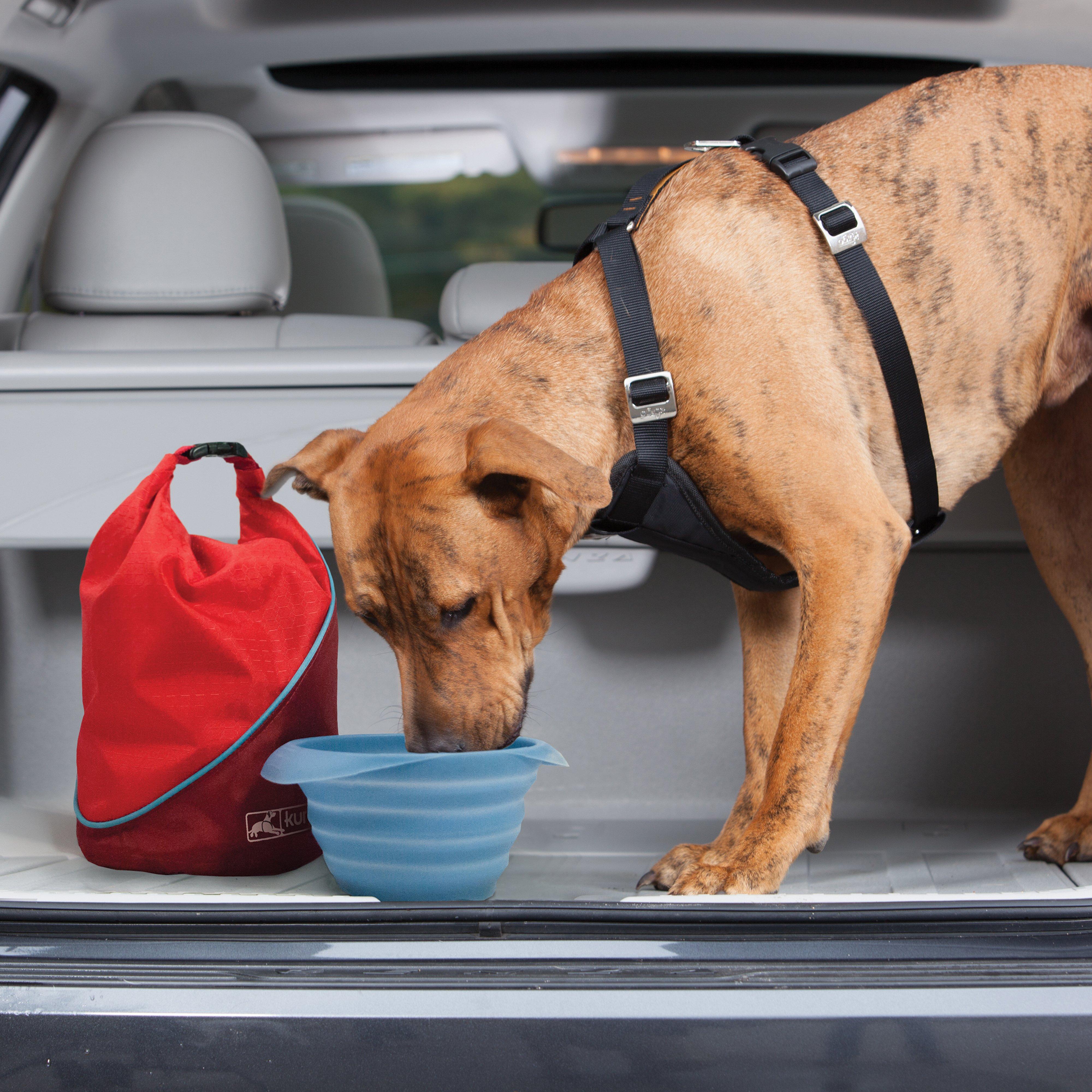 Dog Kibble Carrier
