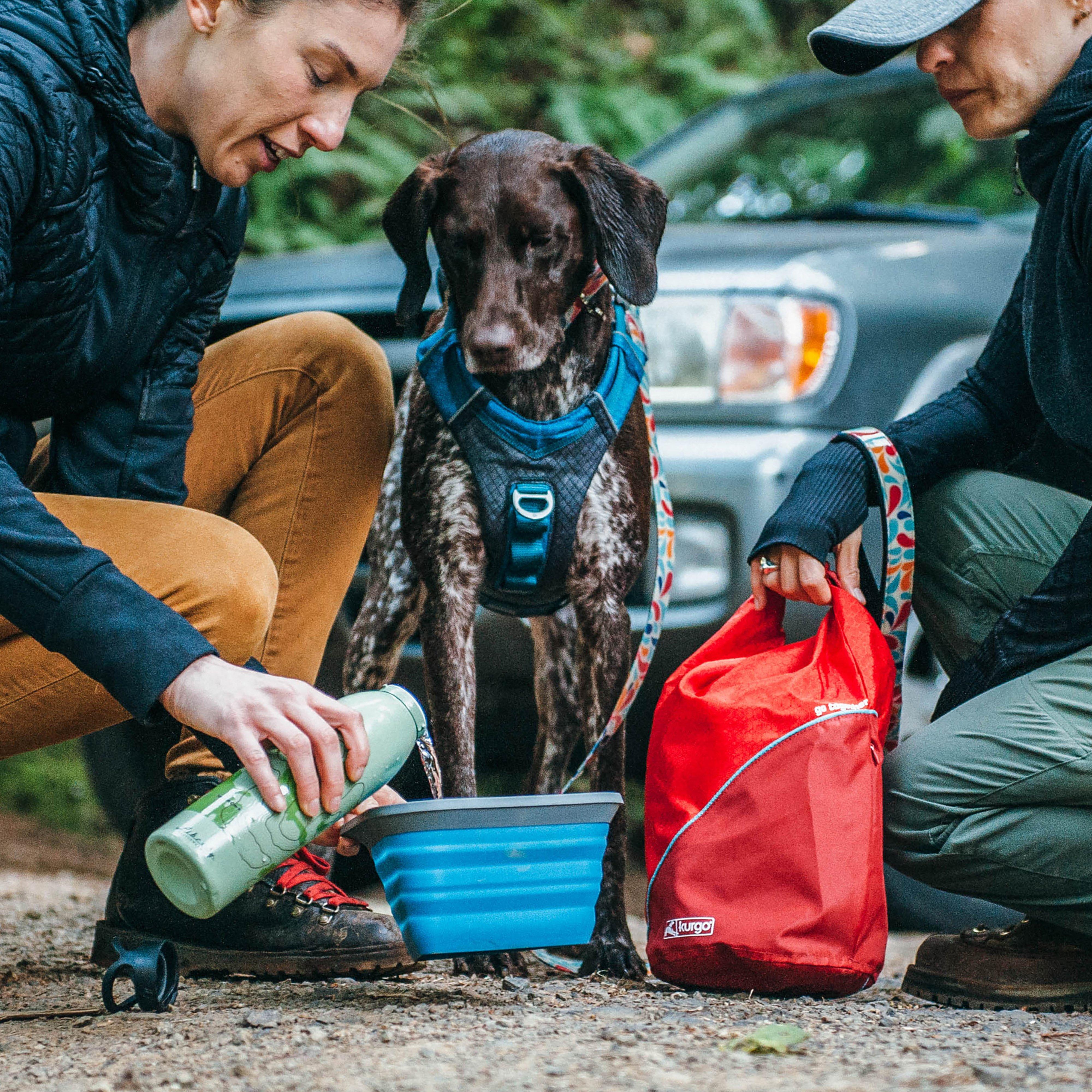 Dog Kibble Carrier