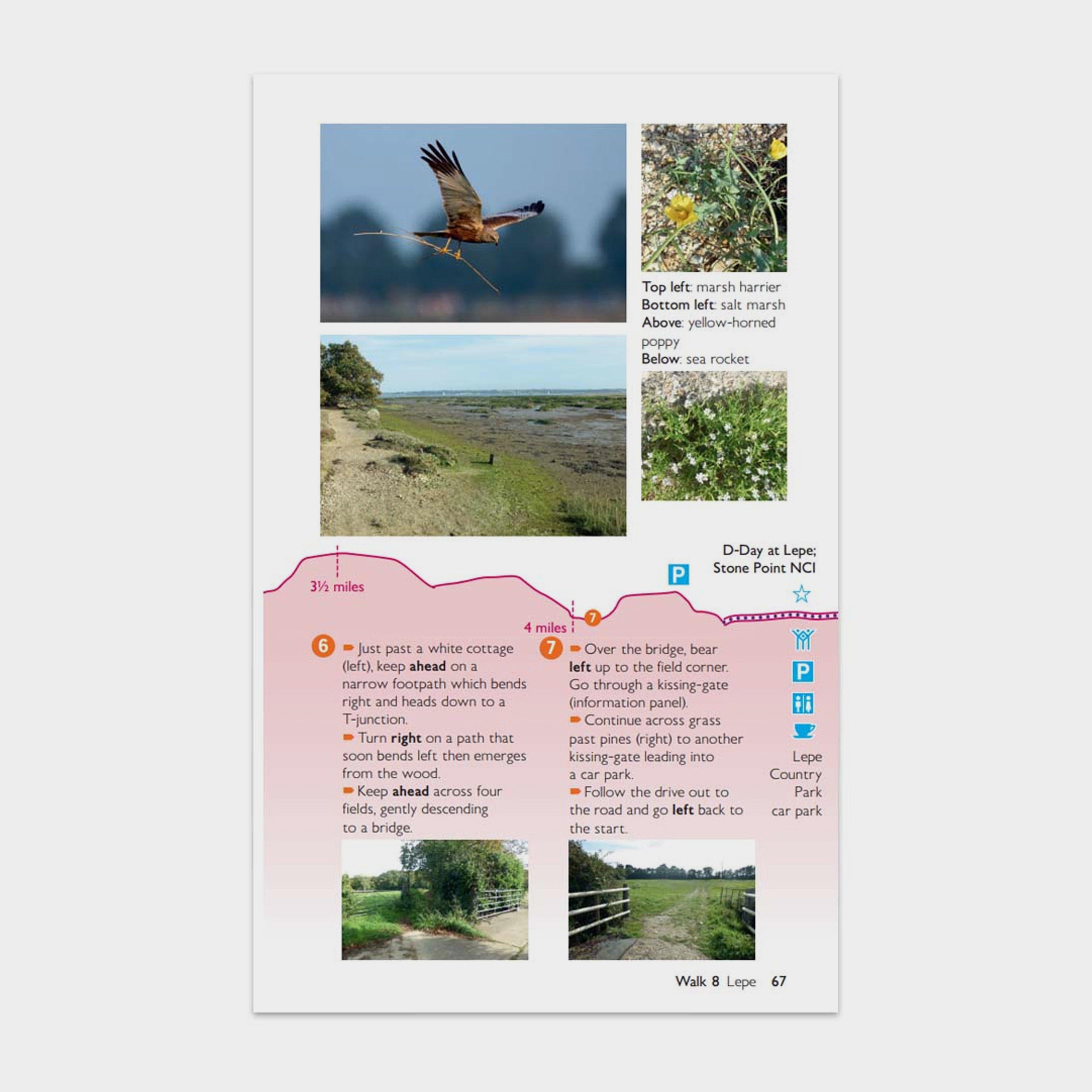 Short Walks Made Easy – New Forest