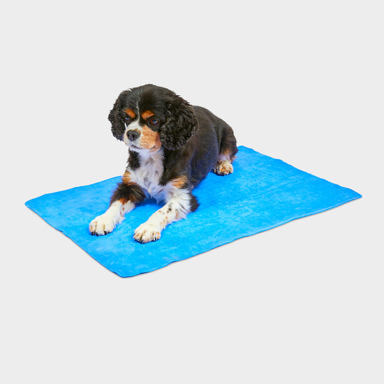 Cooling Pet Towel 66x43cm