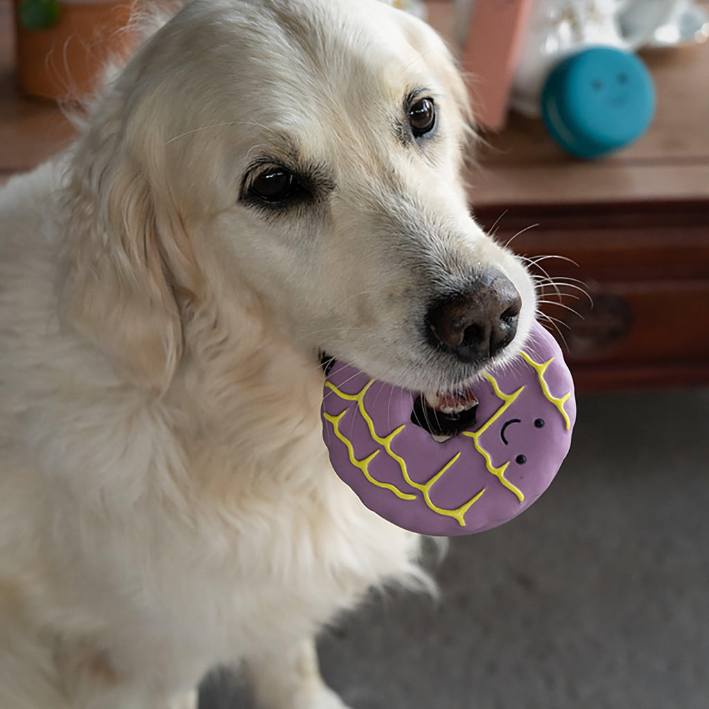 Iced Ring Biscuit Latex Dog Toy