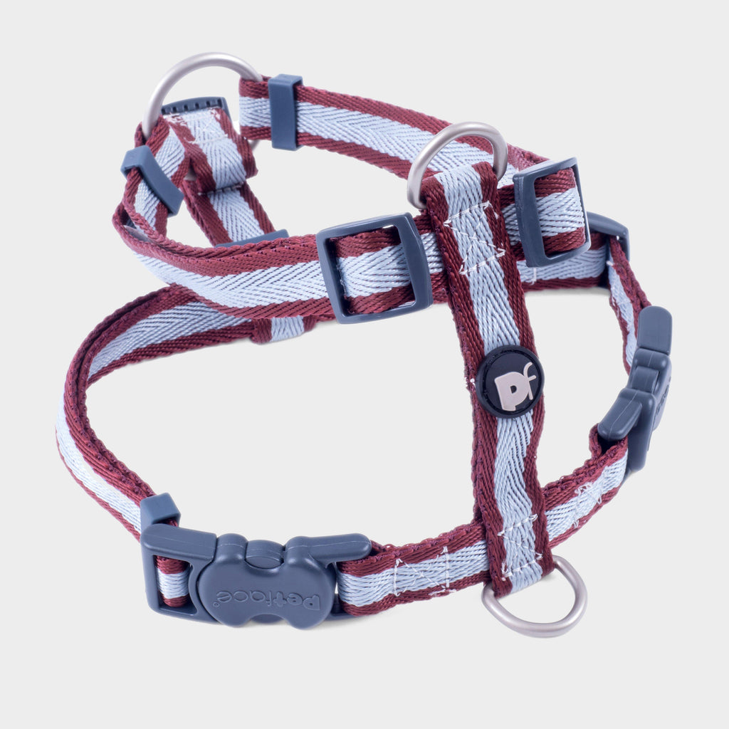 Stripe Dog Harness Small