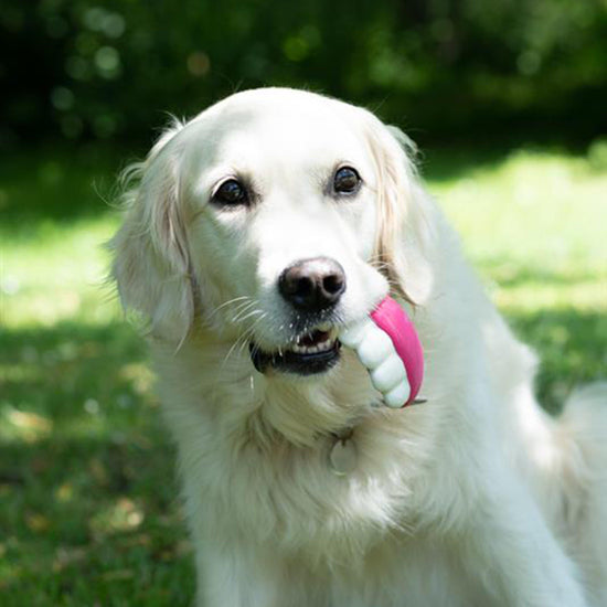 Pearly White The Teeth Sweet Latex Dog Toy