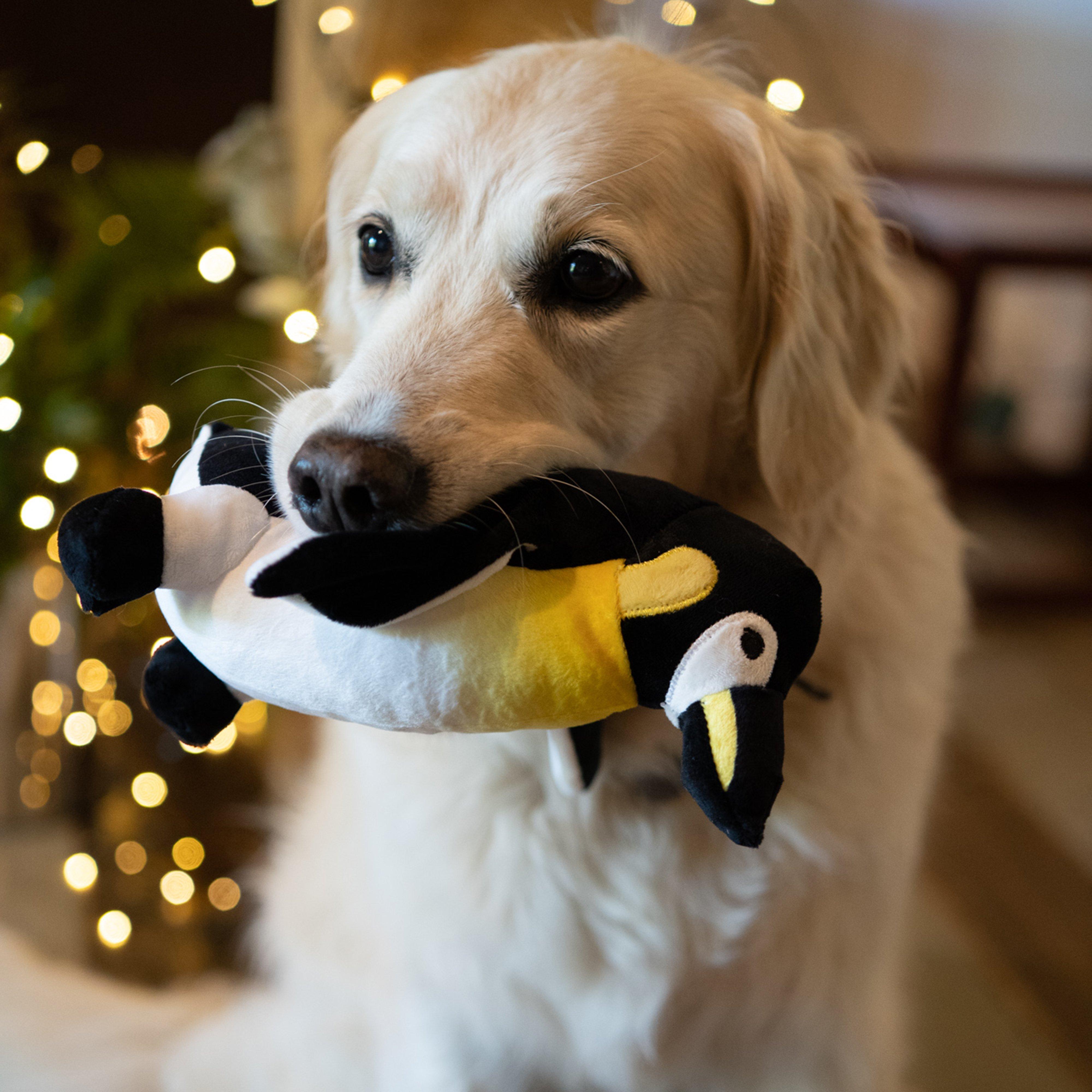 Planet Panuk Penguin Plush Dog Toy