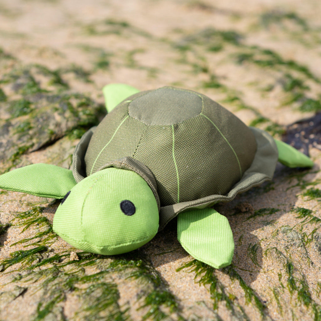 Planet Tessi Turtle Plush Dog Toy