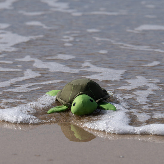 Planet Tessi Turtle Plush Dog Toy