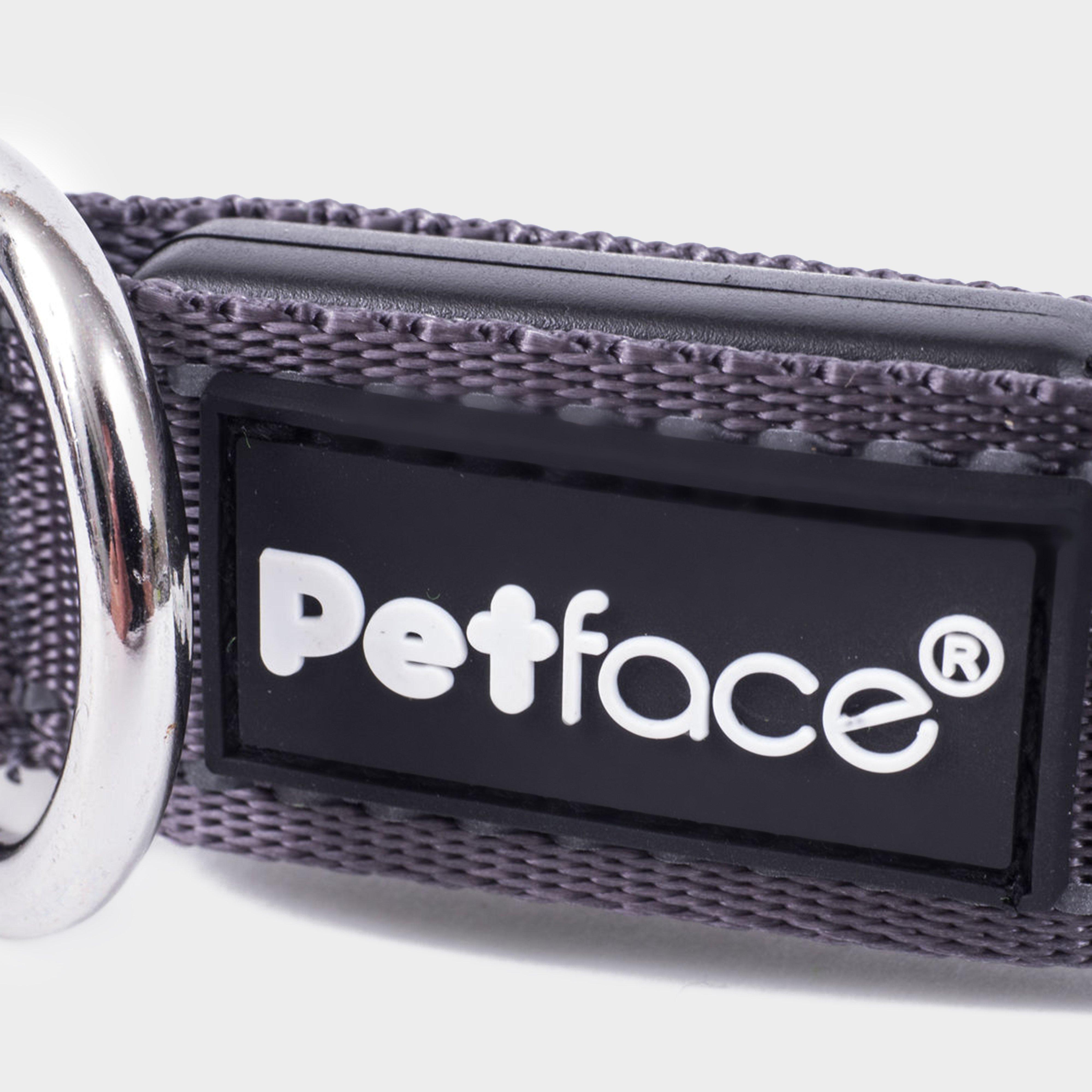 Reflective Flashing Dog Collar Large