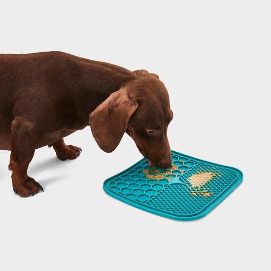 Silicone Pet Treat Mat 2 Pack