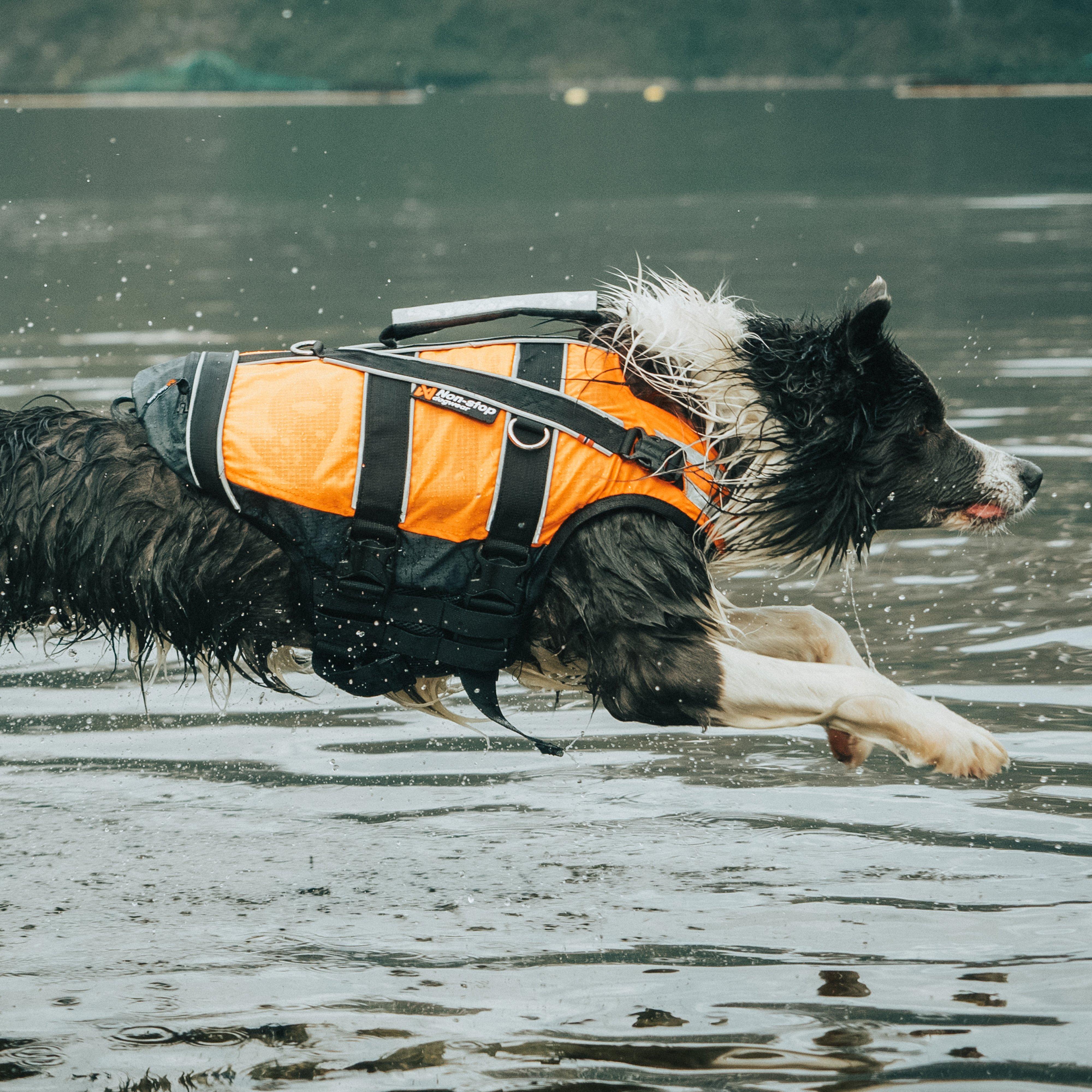 Safe Life Jacket 2.0