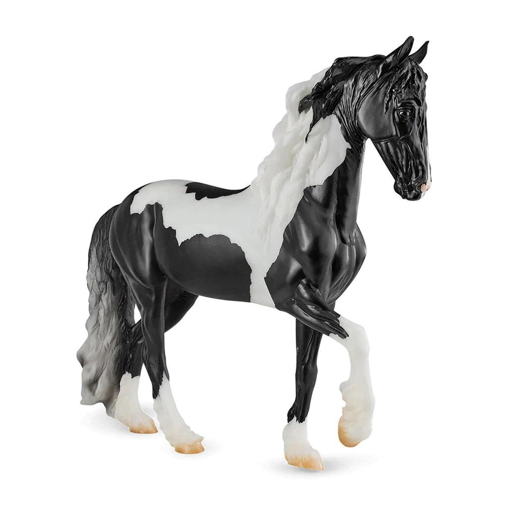 Angel HP "Ezra" Pinto Friesian Sporthorse