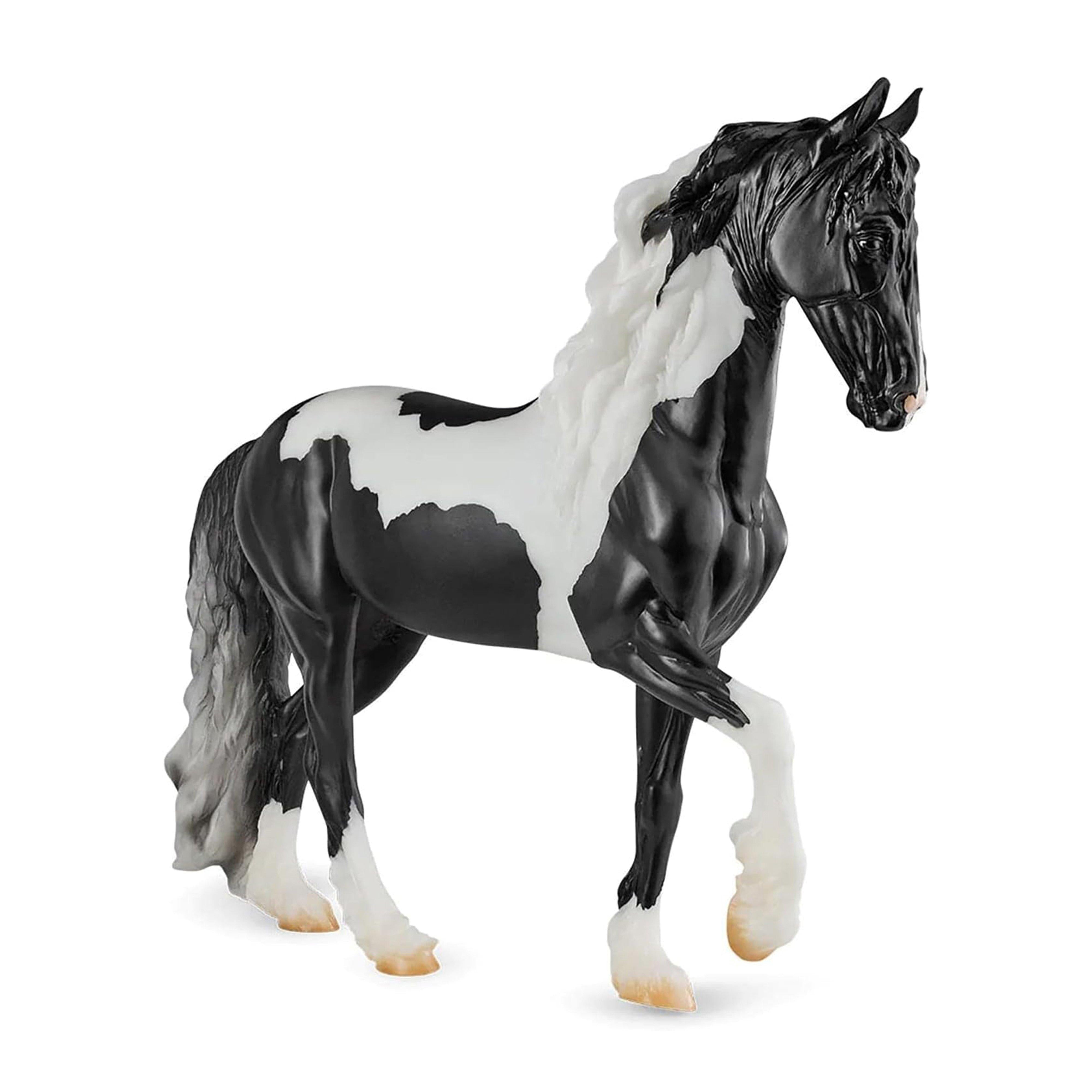 Angel HP "Ezra" Pinto Friesian Sporthorse