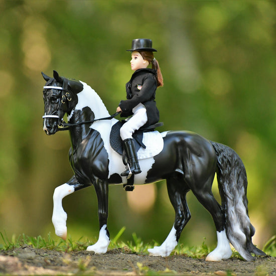 Angel HP "Ezra" Pinto Friesian Sporthorse