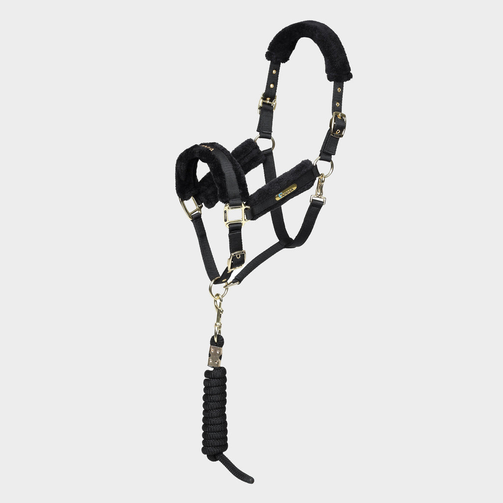 Logo Headcollar & Lead Rope Black