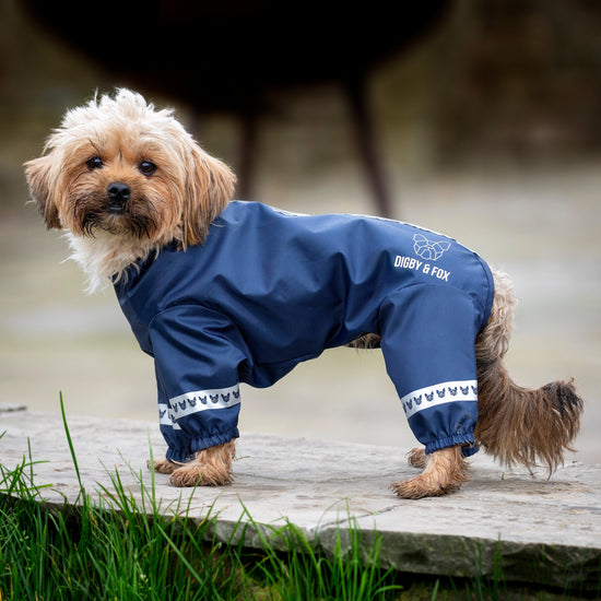 Cover-All Dog Coat