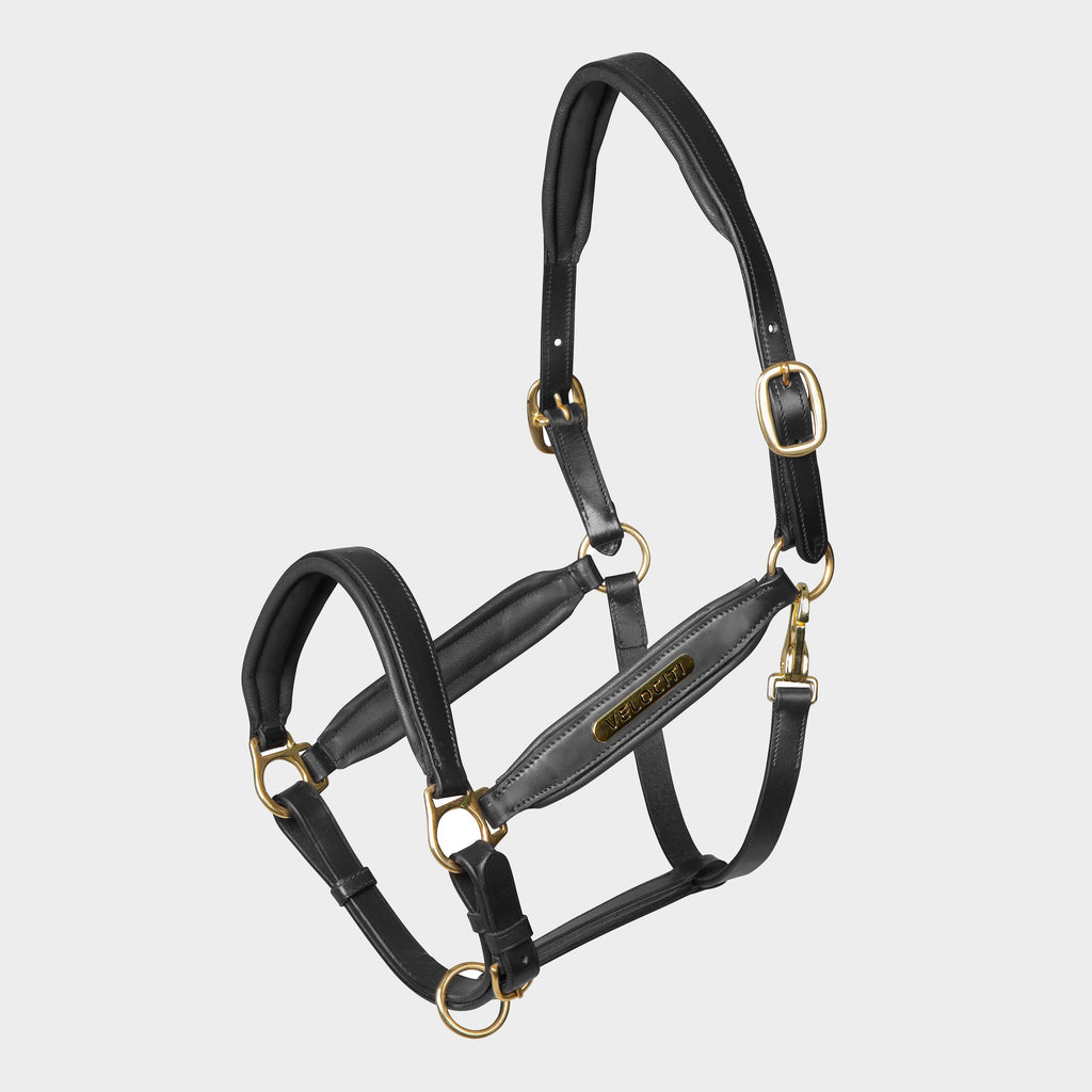 Gara Leather Headcollar