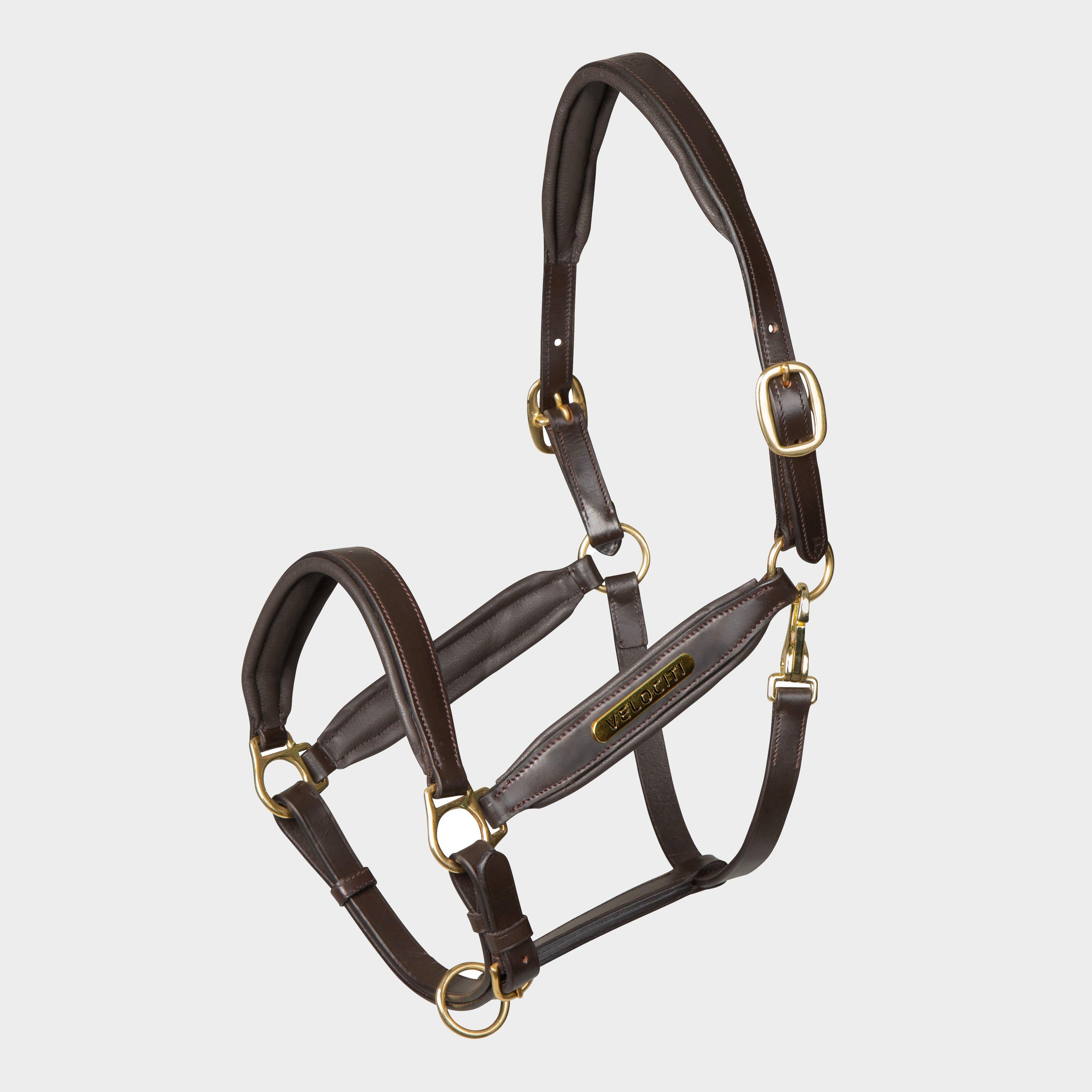 Gara Leather Headcollar