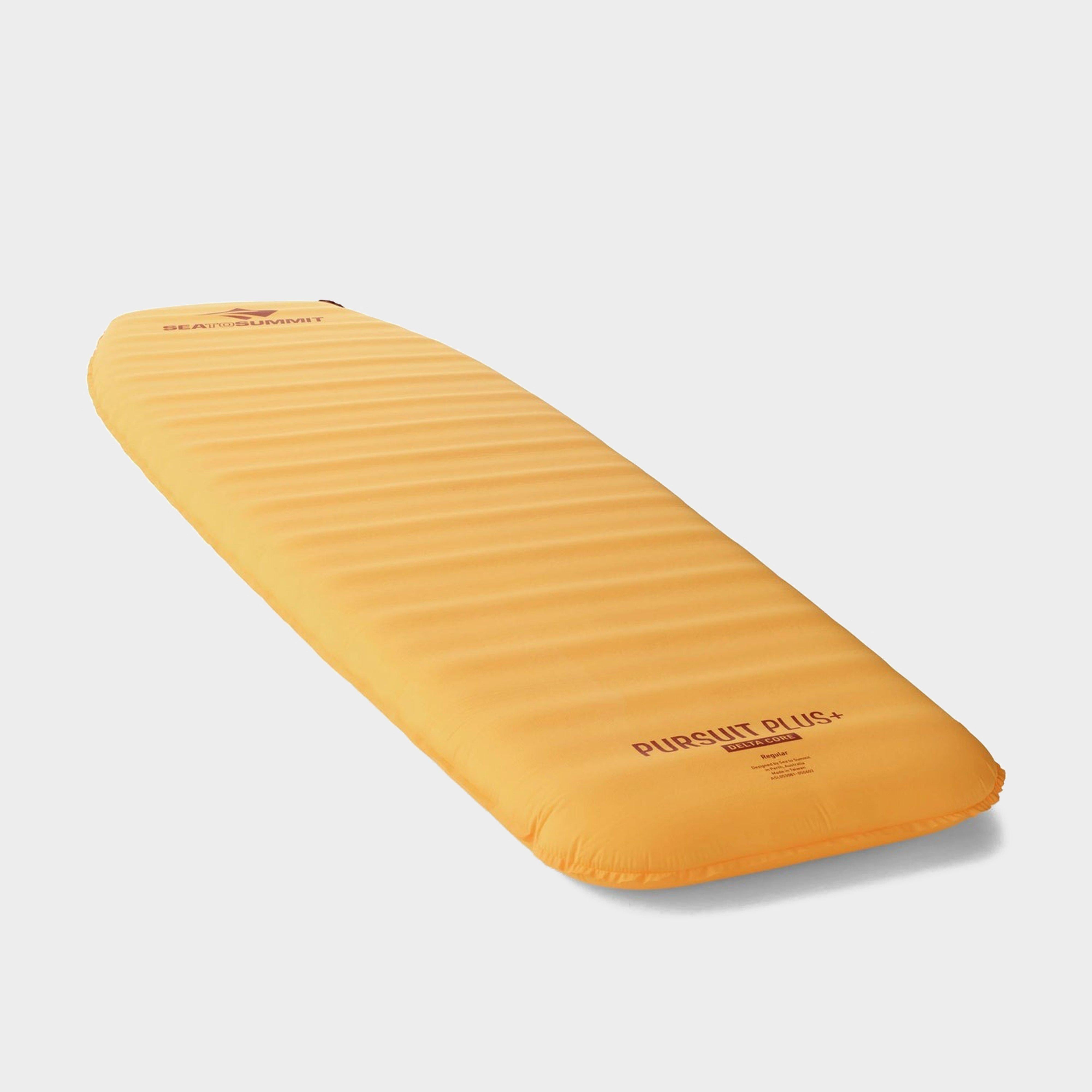 Pursuit Plus Self-Inflating Sleeping Mat