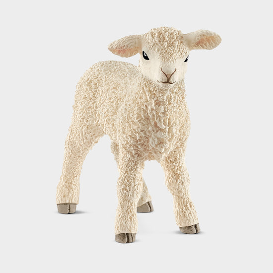 Lamb