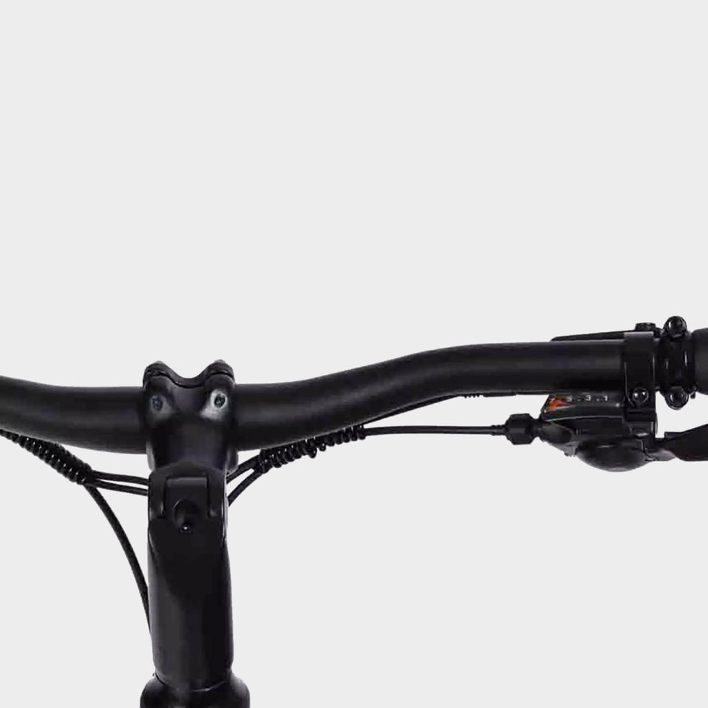 Aarhus Electric Bike