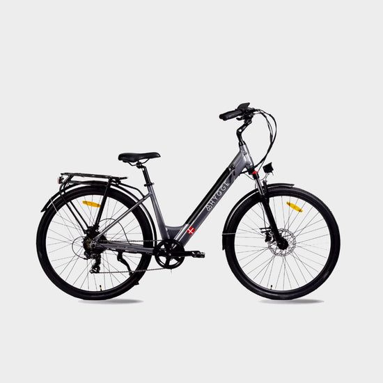Aarhus Low Step Electric Bike