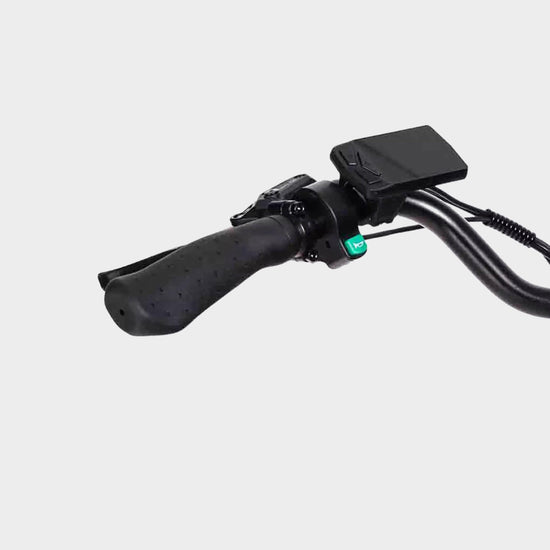 Aarhus Low Step Electric Bike