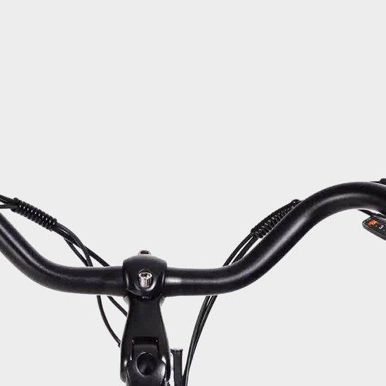 Aarhus Low Step Electric Bike