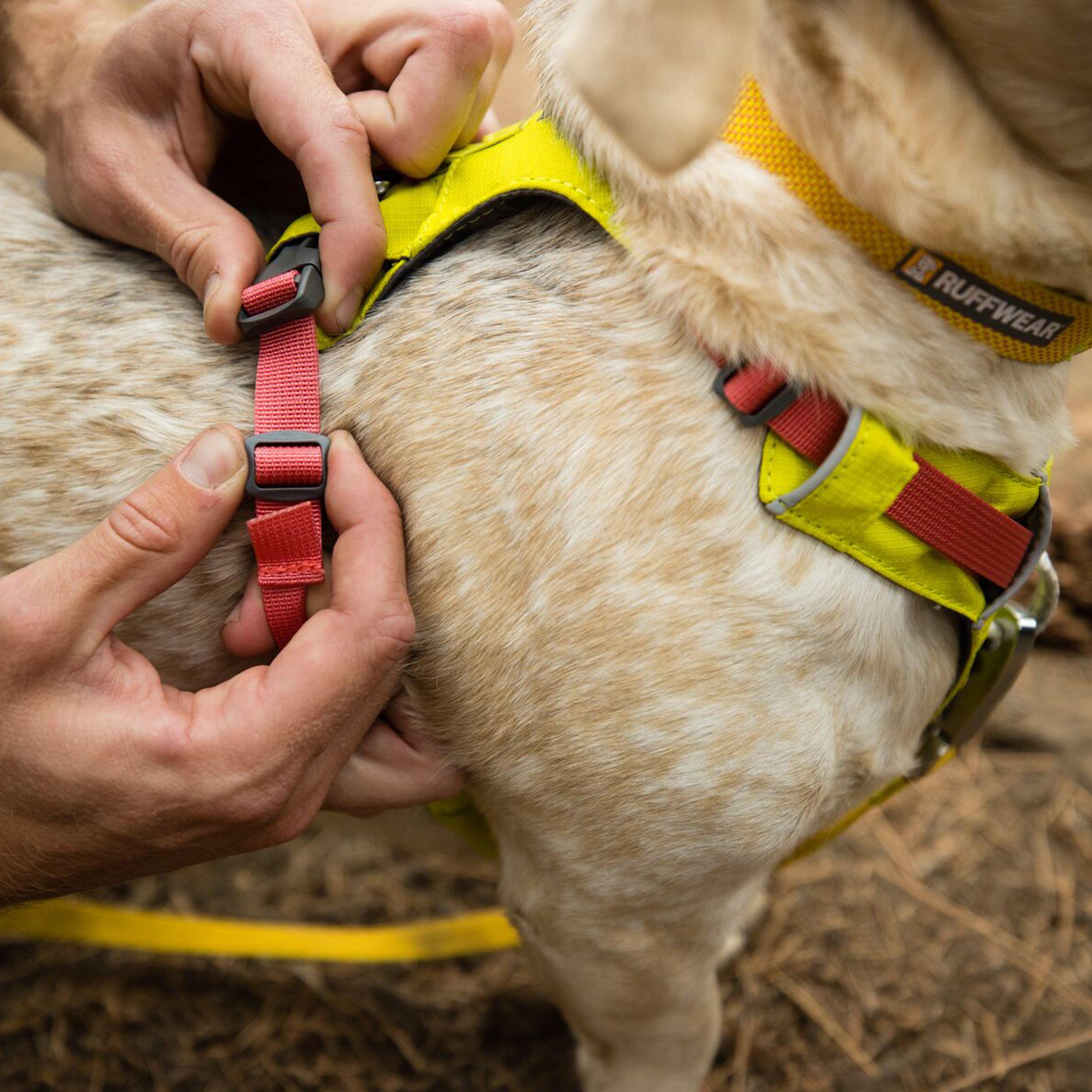 Hi & Light™ Lightweight Dog Harness