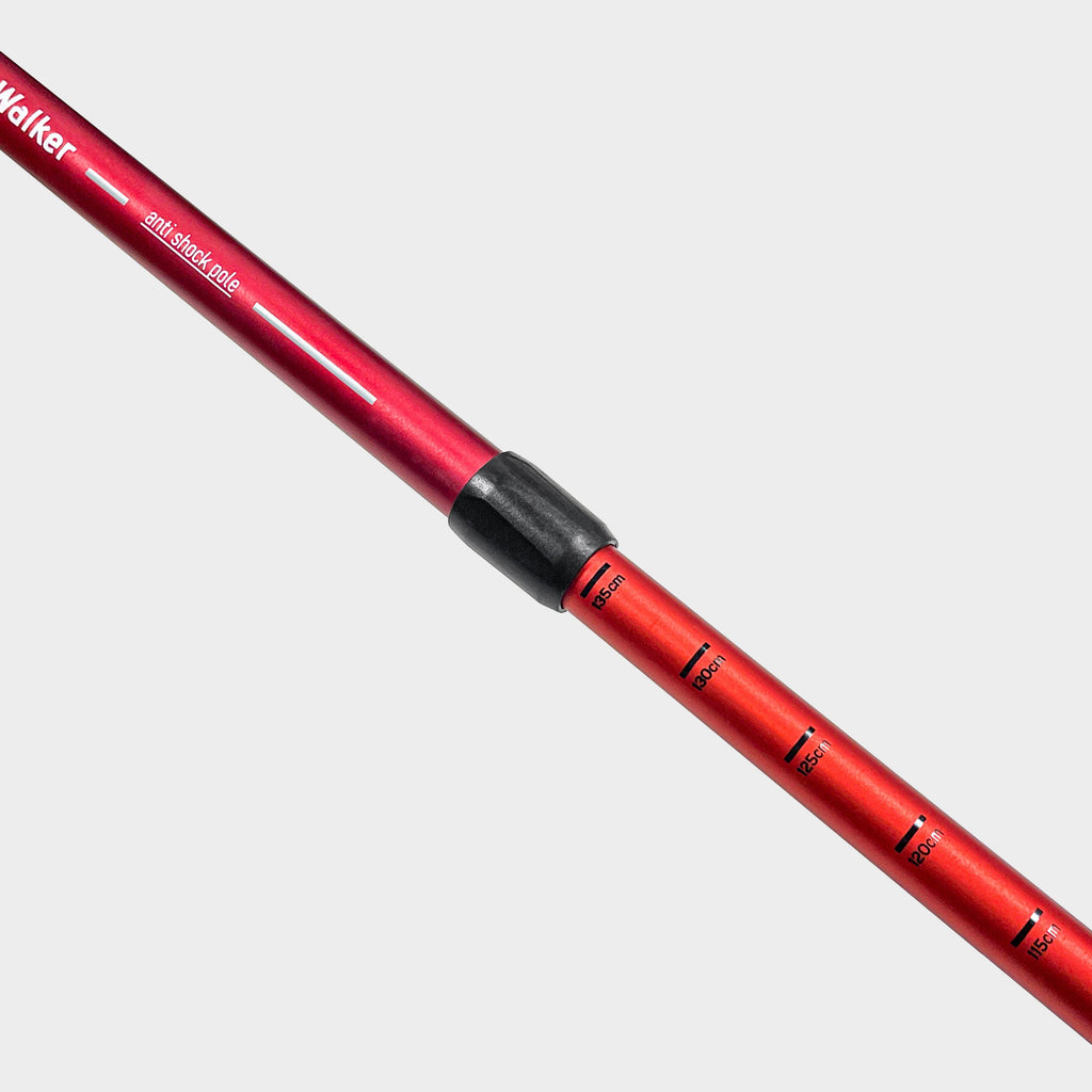 Expedition Walking Pole