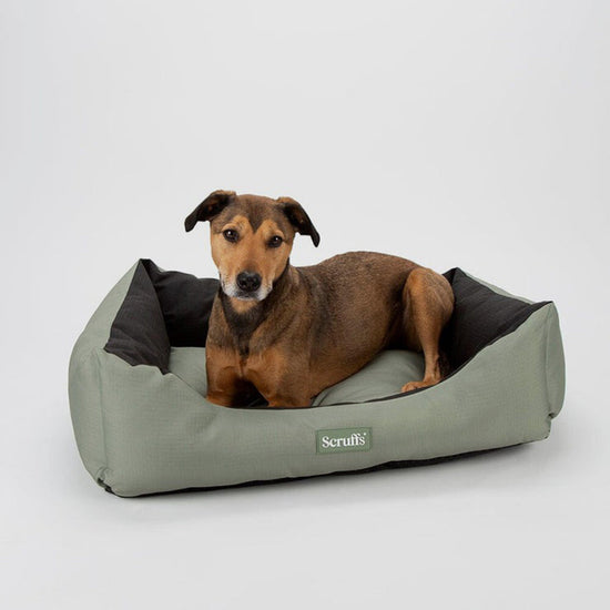 Expedition Box Bed XL