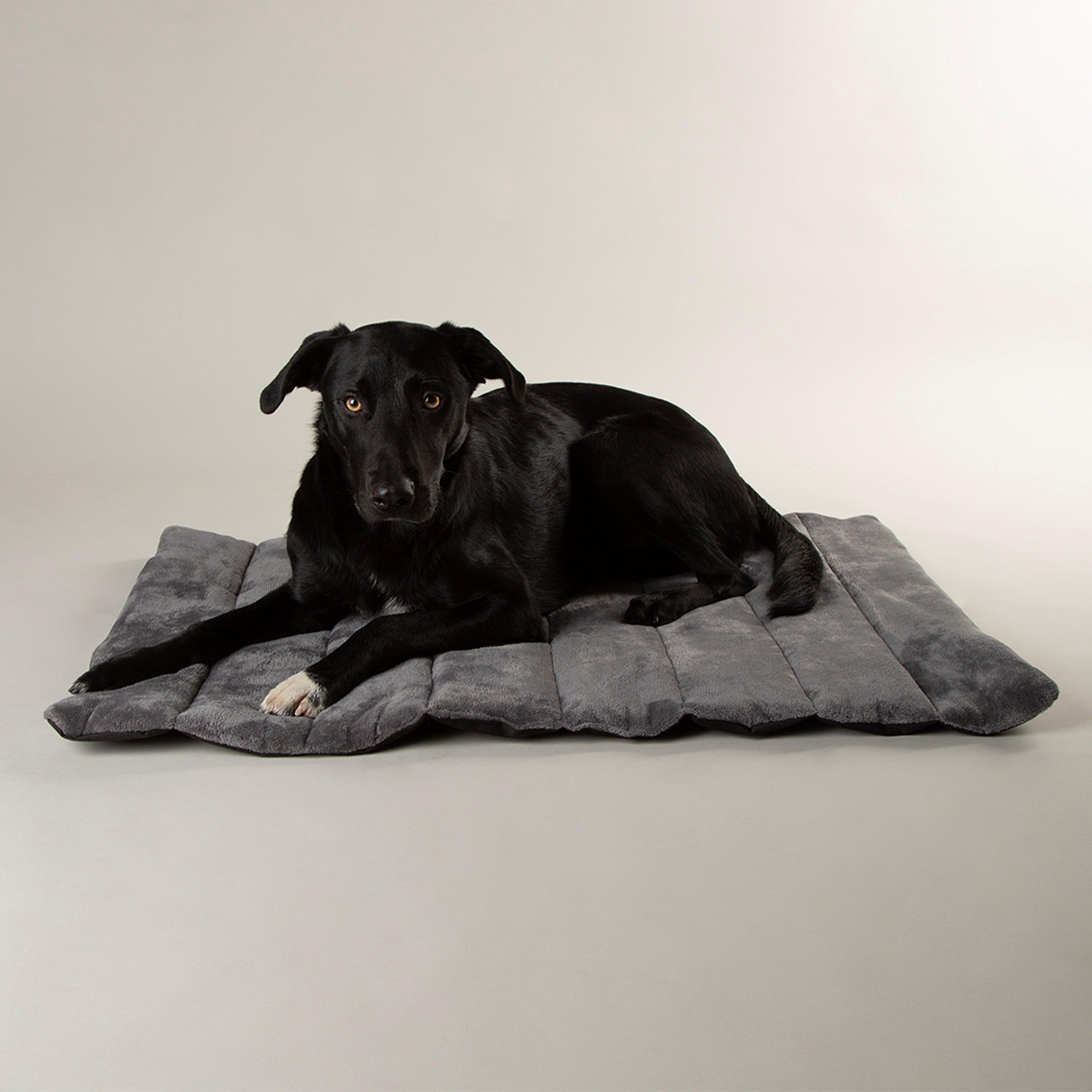 Expedition Roll Up Travel Pet Bed