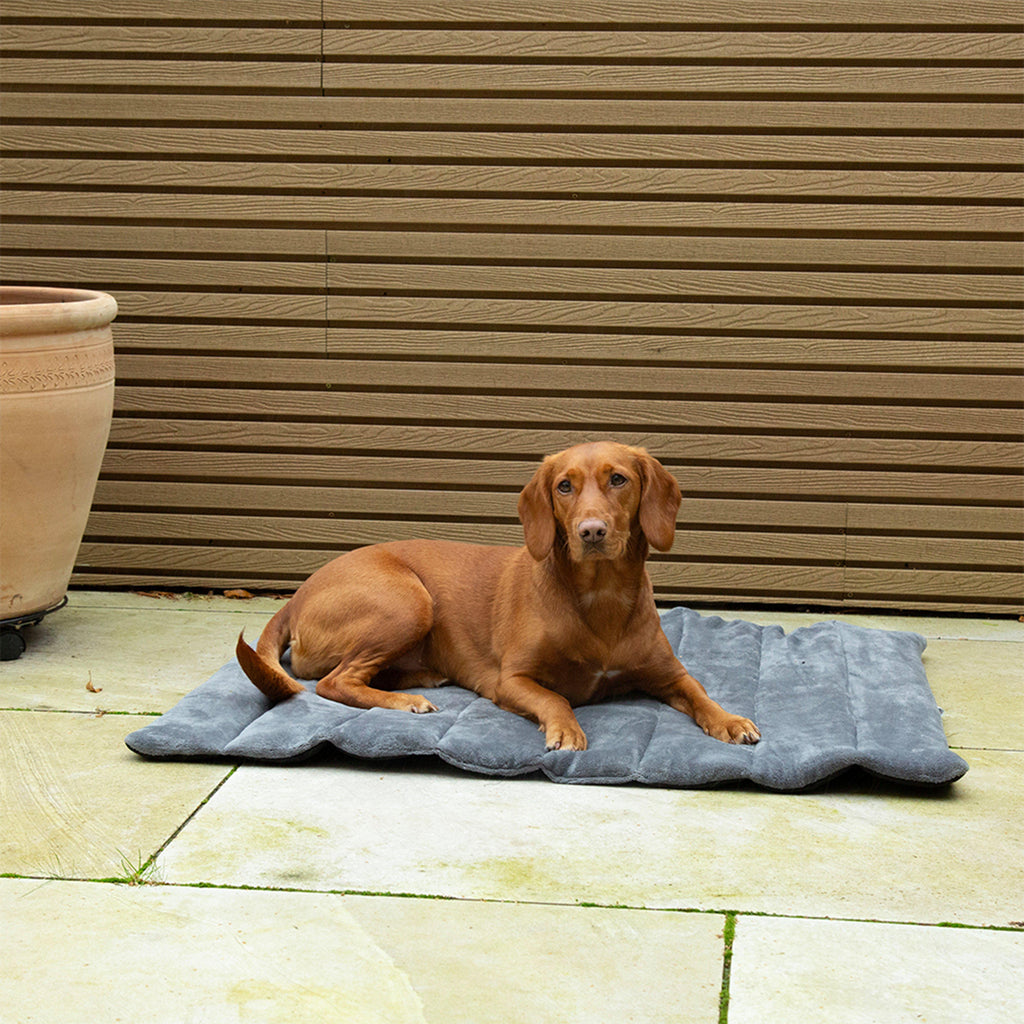 Expedition Roll Up Travel Pet Bed