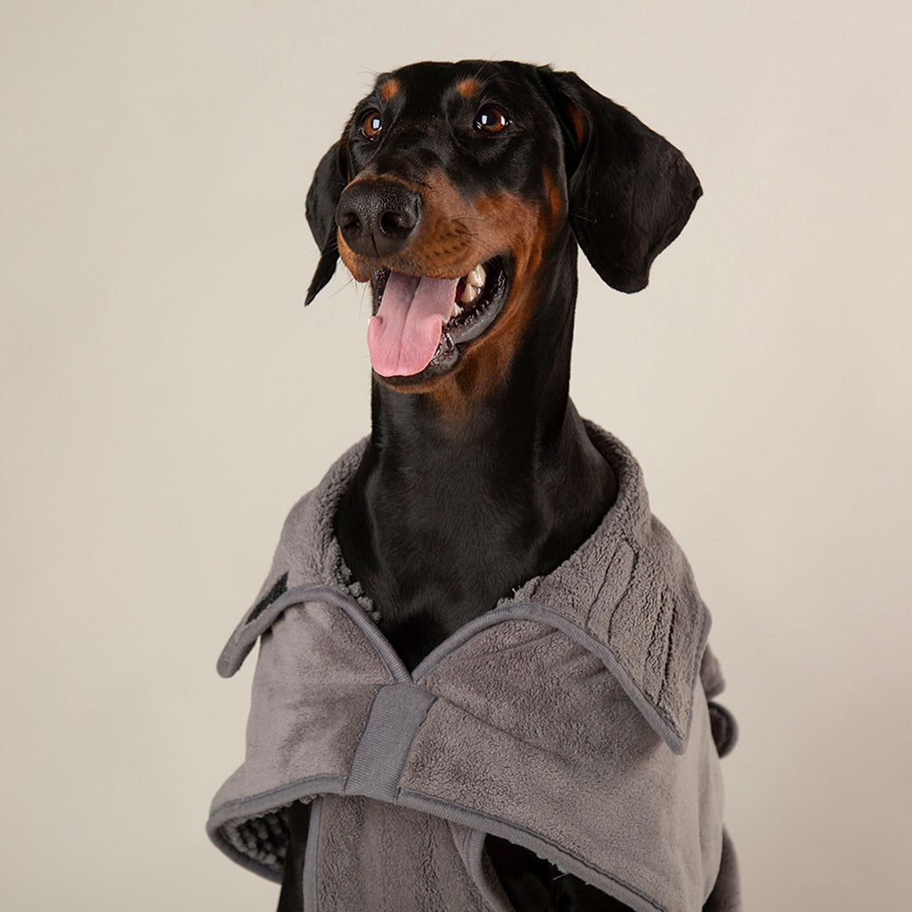 Expedition Deluxe Noodle & Microfibre Dog Drying Coat XL