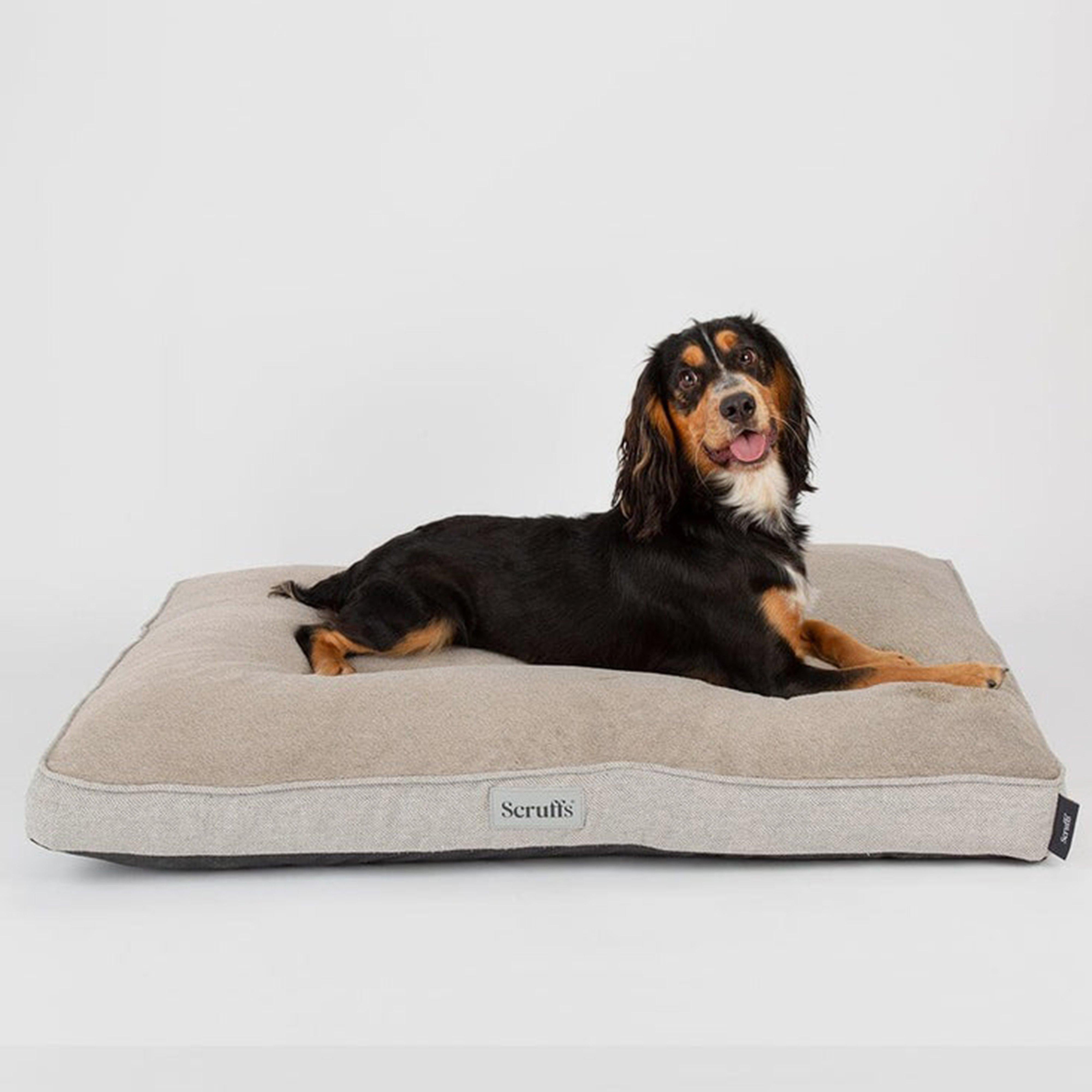 Harvard Memory Foam Mattress L