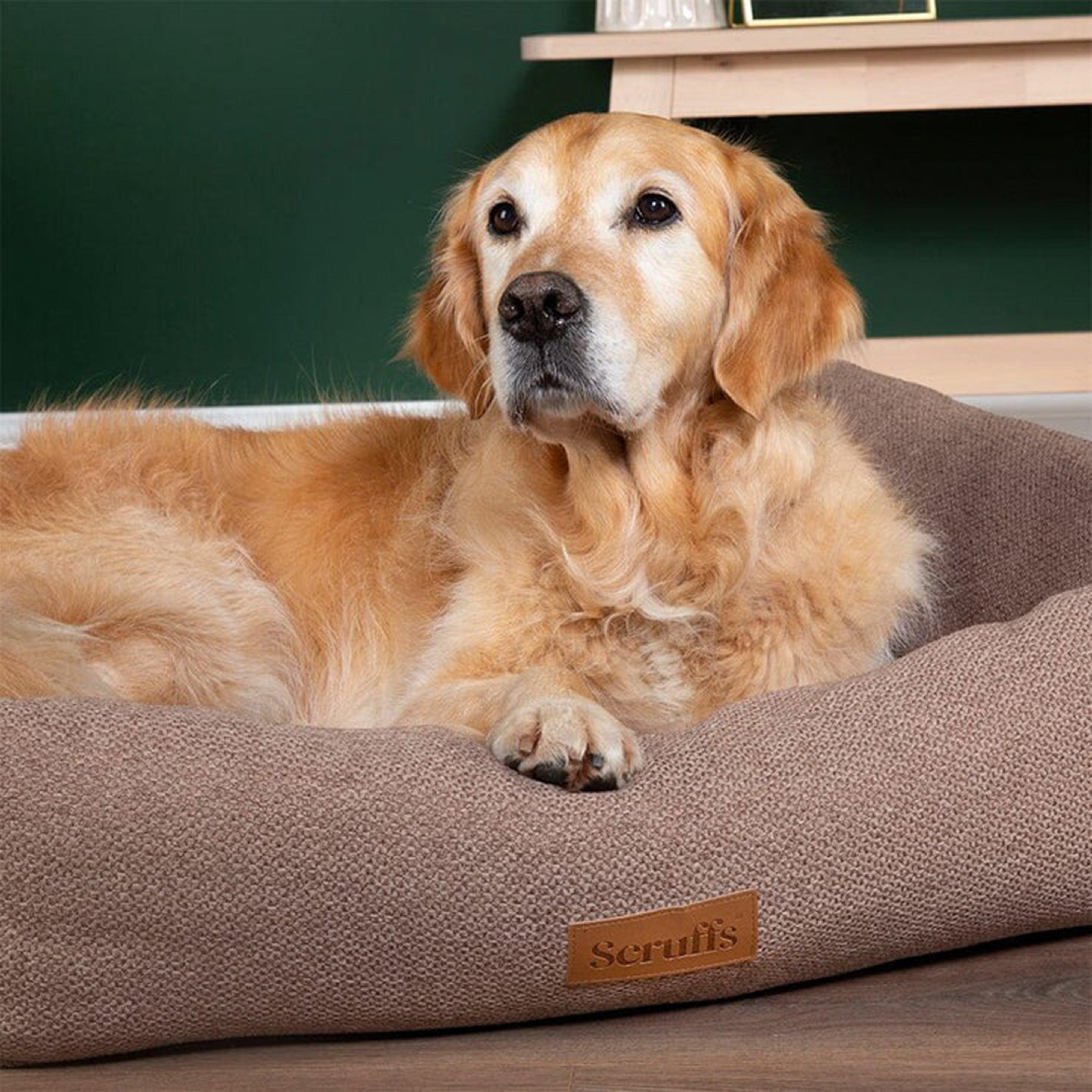 Seattle Box Bed XL
