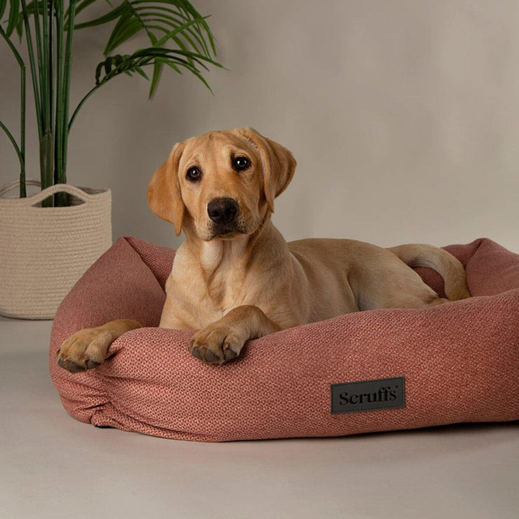 Seattle Box Bed XL