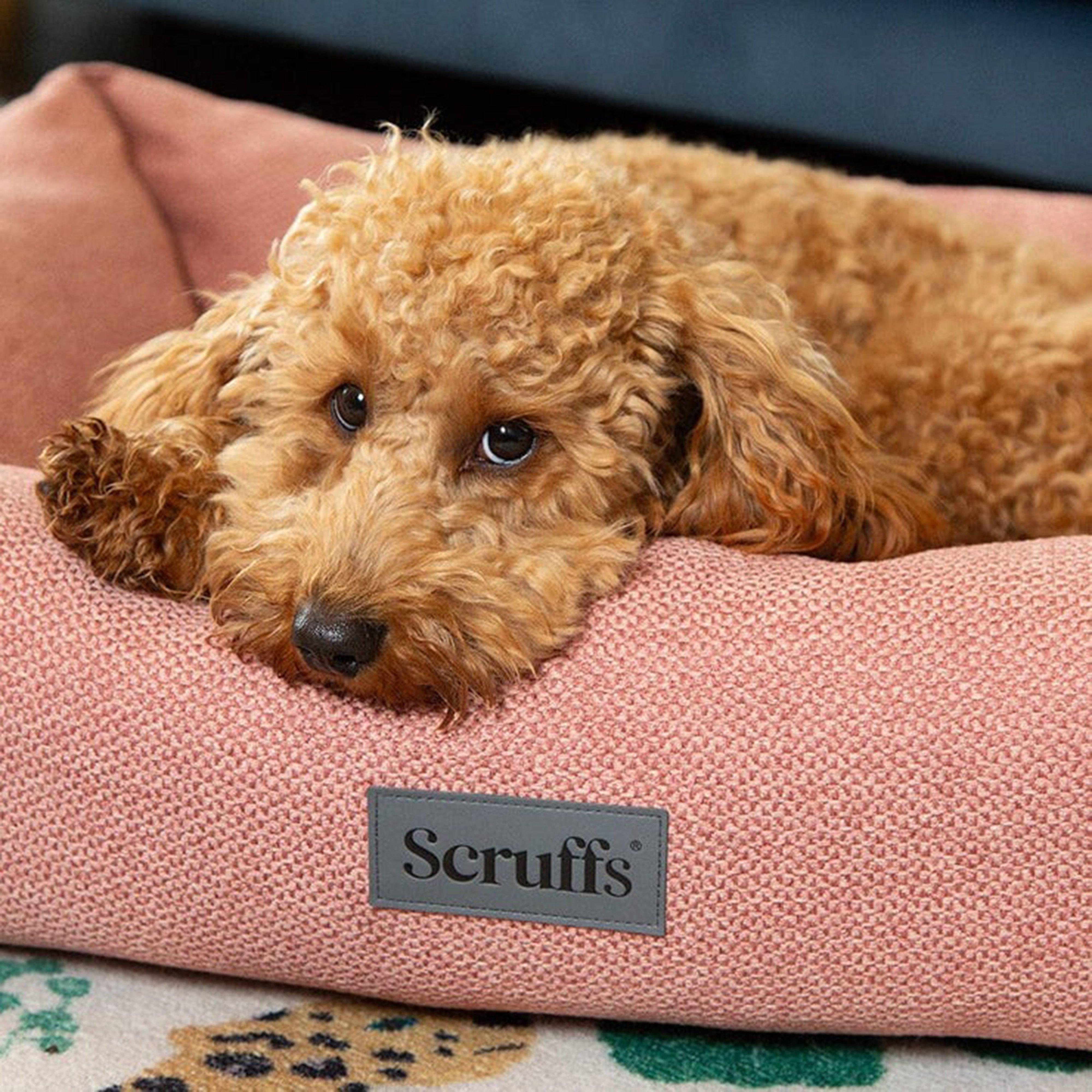 Seattle Box Bed XL
