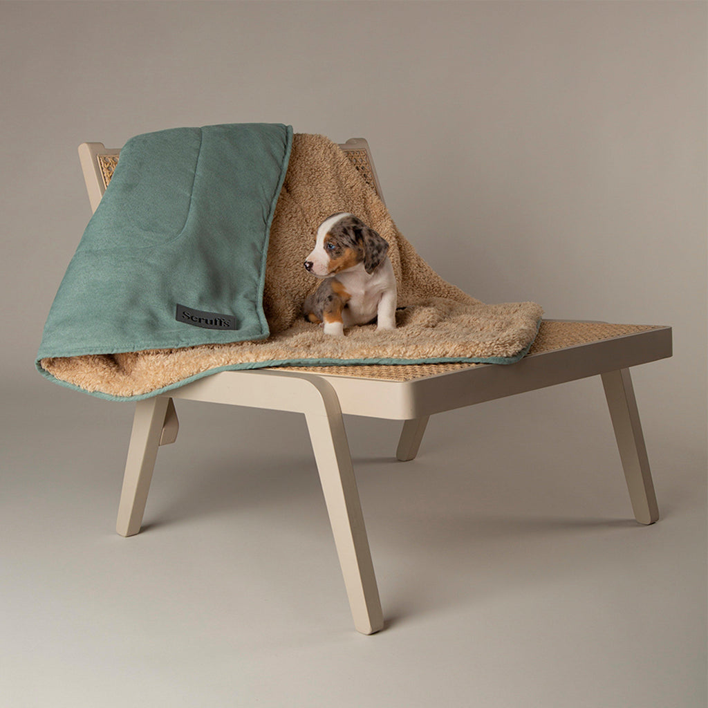 Snuggle Blanket