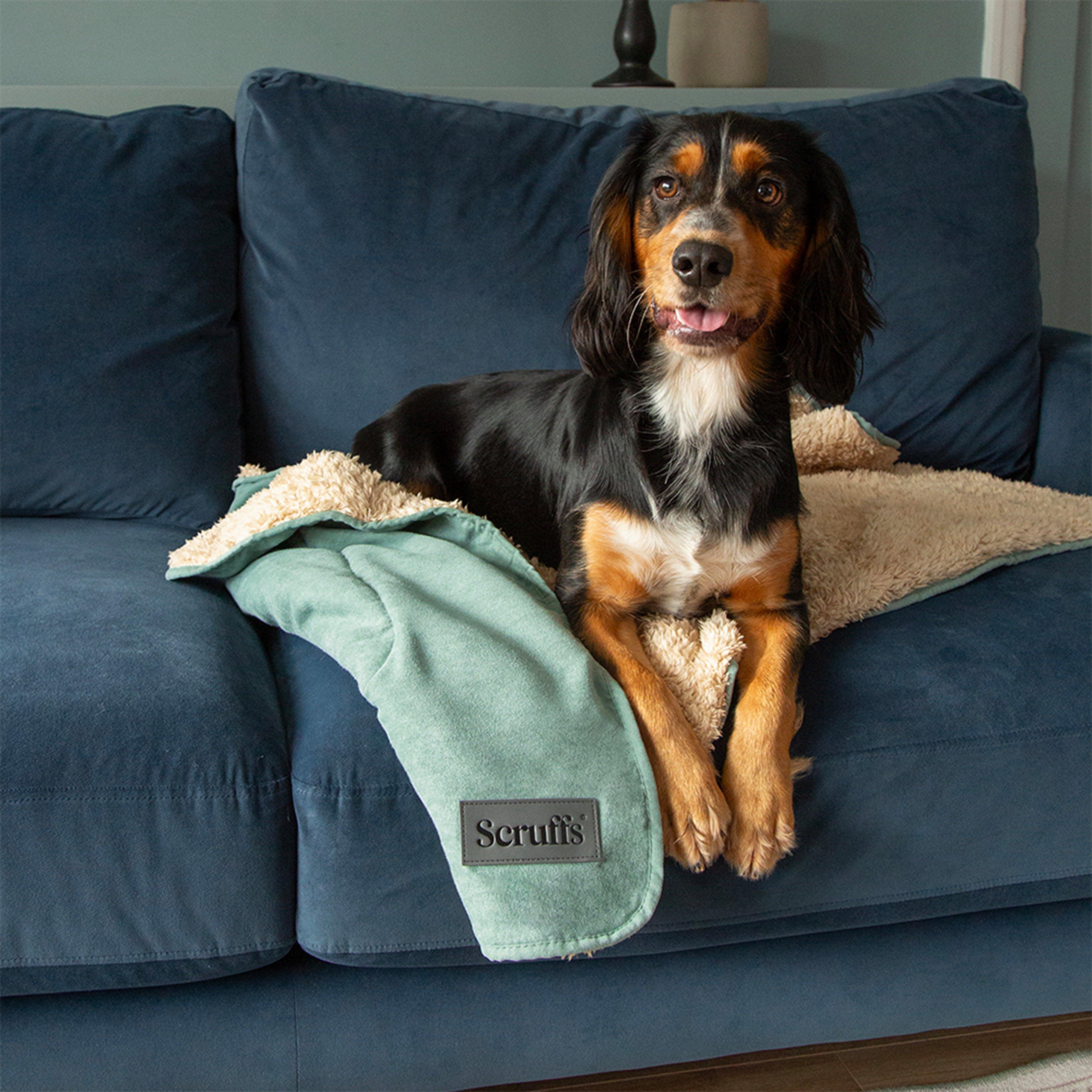 Snuggle Blanket