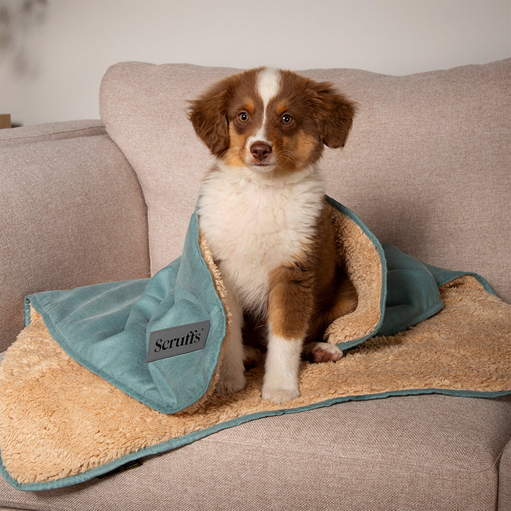 Snuggle Blanket