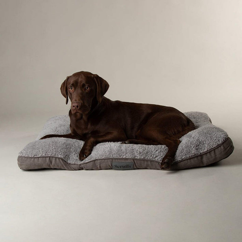 Cosy Mattress M