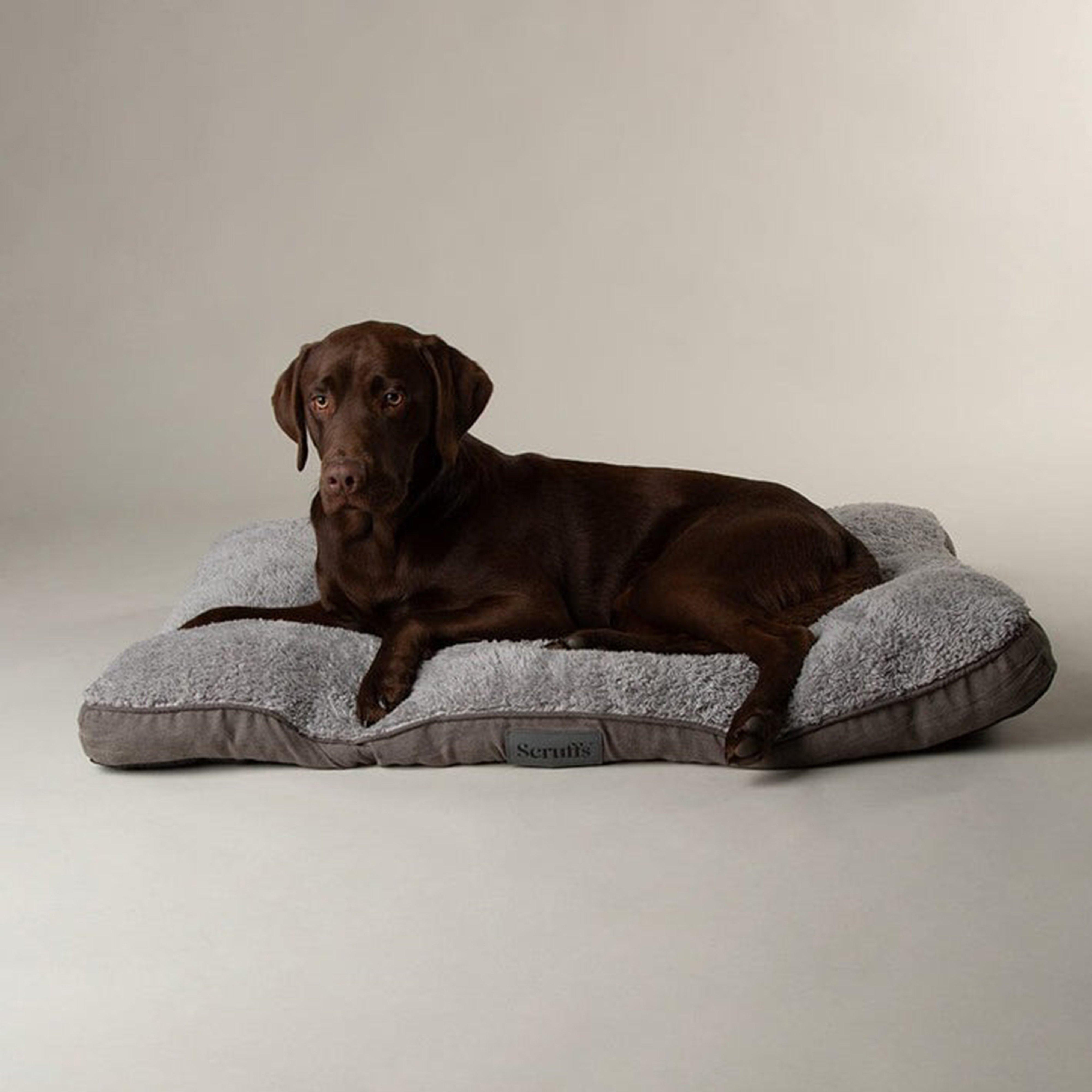 Cosy Mattress M