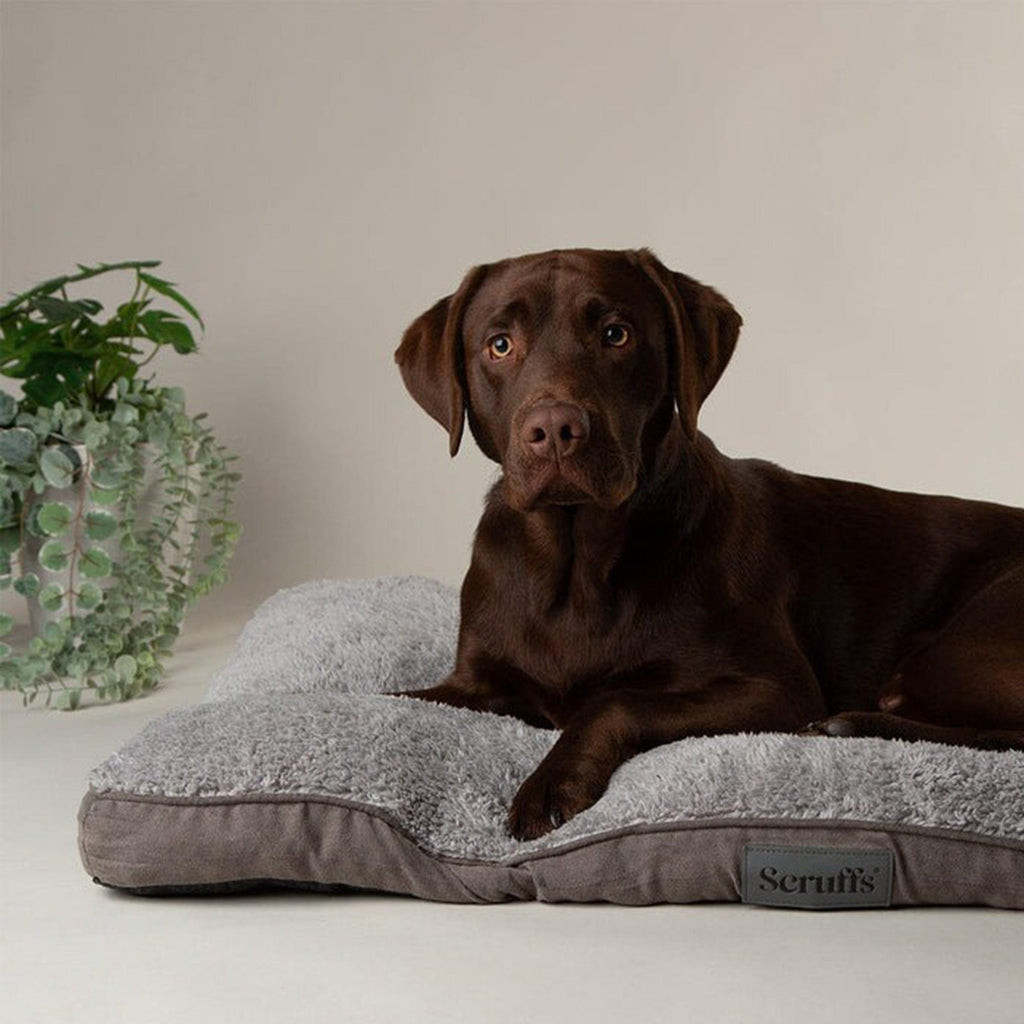Cosy Mattress M